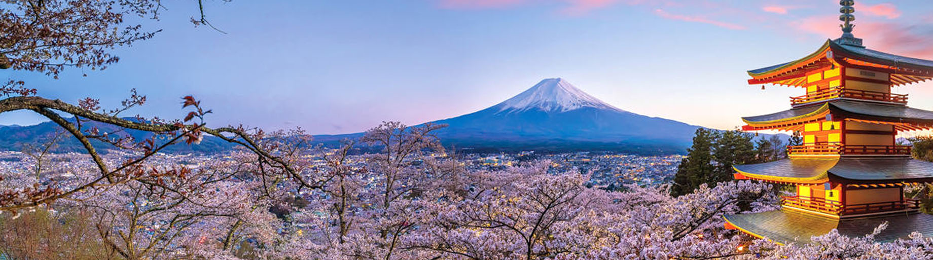 2027 Japan Music Cruise/Tour